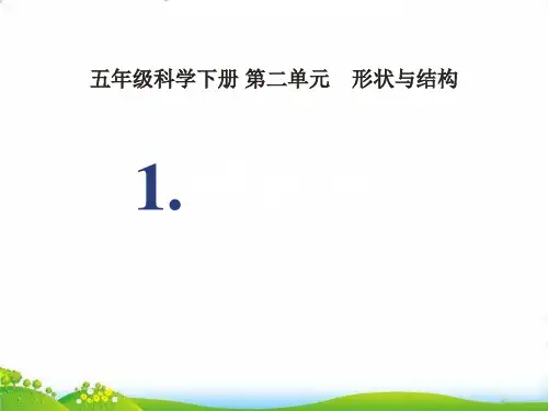 科学苏教版-《折形状》课件-上课课件1