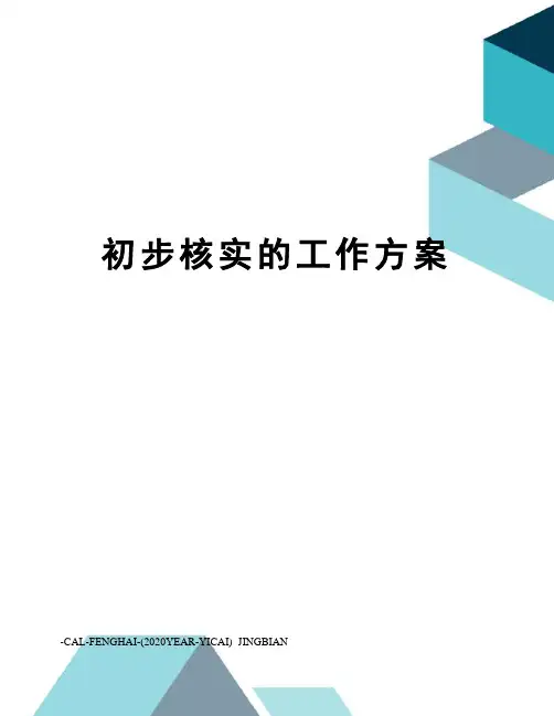 初步核实的工作方案