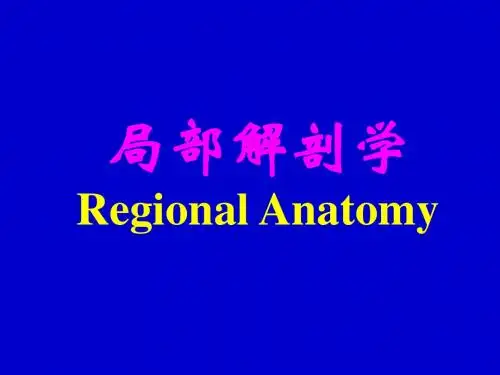 第六七章 盆部会阴