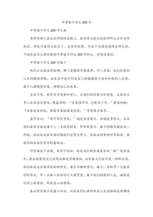 中考奋斗作文600字