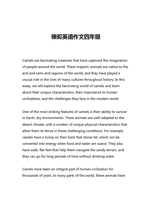 骆驼英语作文四年级