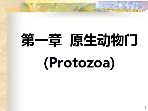 原生动物门