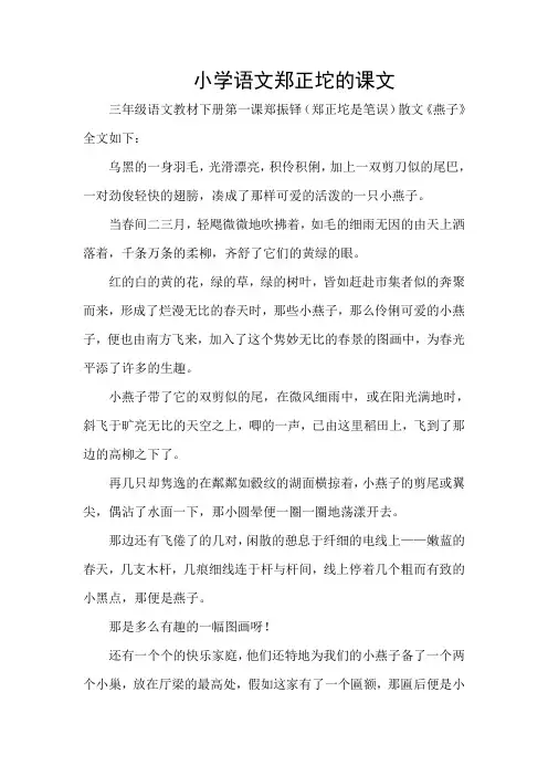 小学语文郑正坨的课文