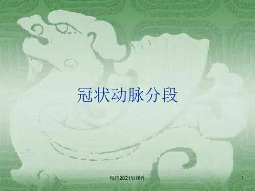 冠状动脉分段