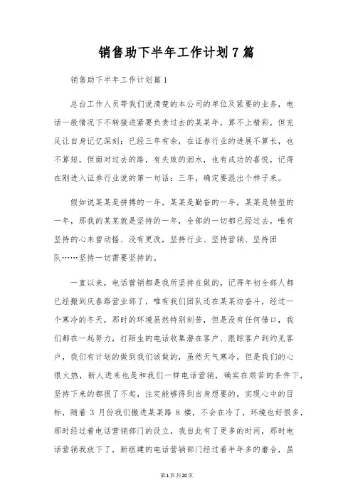 销售助下半年工作计划7篇