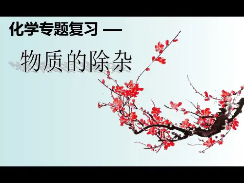 中考化学专题复习-物质的除杂专题课件