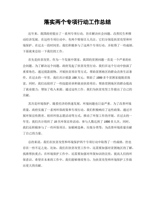 落实两个专项行动工作总结
