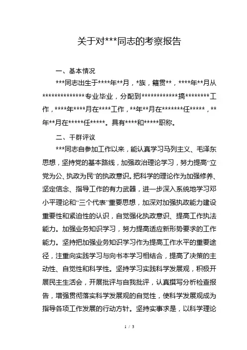关于对某同志的考察报告
