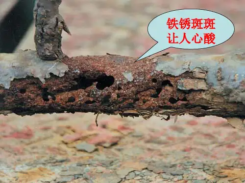 苏教版高中化学选修一3.1应用广泛的金属材料-金属腐蚀与防护 (共31张PPT)