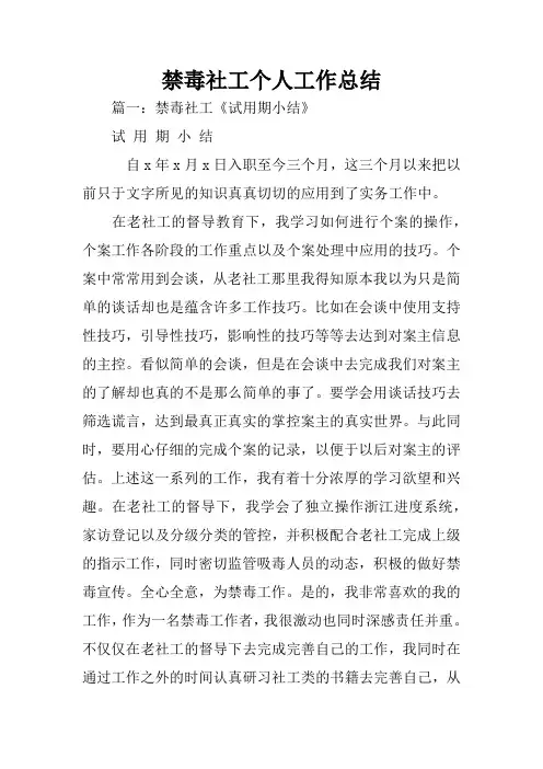 禁毒社工个人工作总结