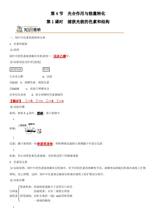 生物人教版高中必修一(2019年新编)5-4-1 捕获光能的色素和结构(教案)