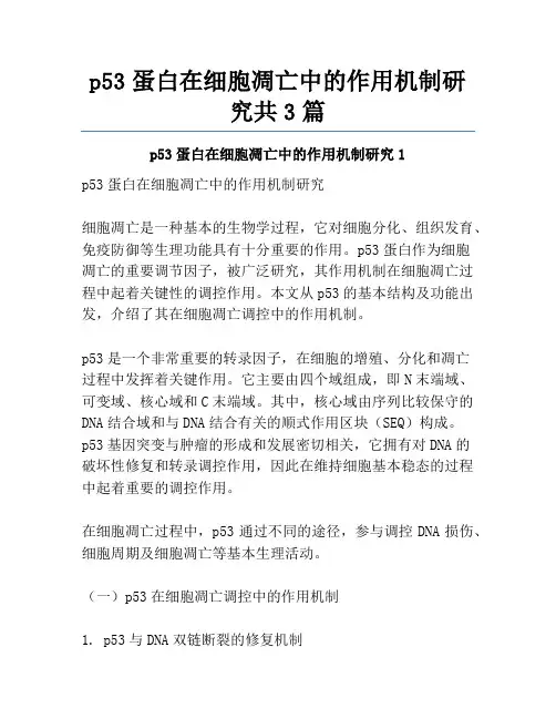 p53蛋白在细胞凋亡中的作用机制研究共3篇