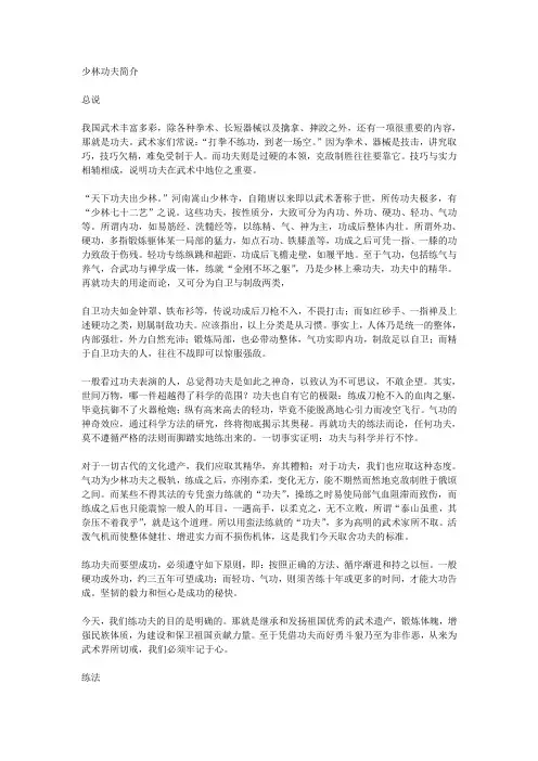 少林功夫简介