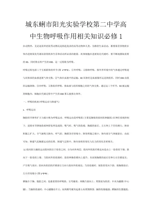 第二高中生物《呼吸作用》相关知识 必修