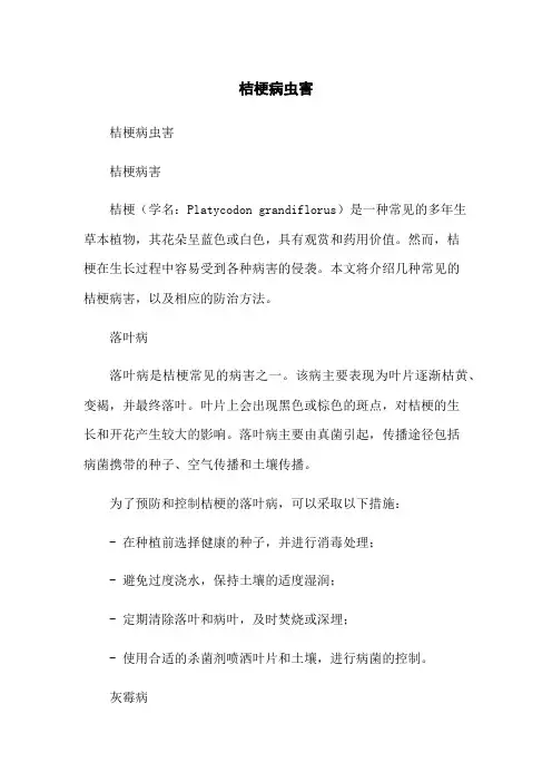 桔梗病虫害