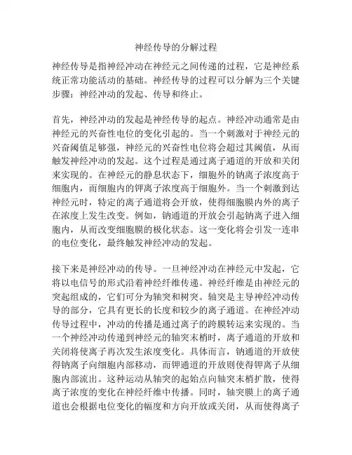 神经传导的分解过程
