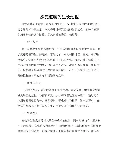 探究植物的生长过程