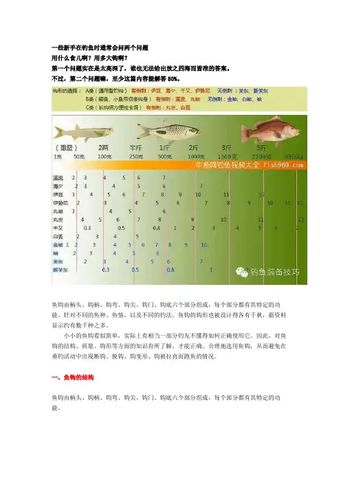 图解鱼钩的种类型号对比选择