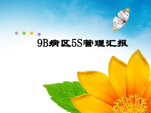 某病区5S管理汇报PPT(25张)