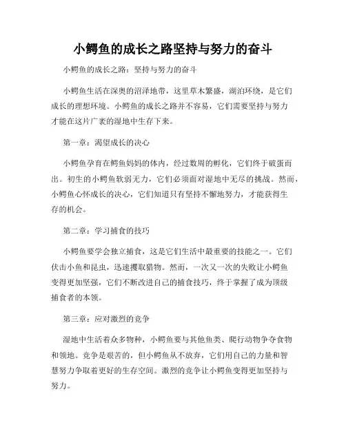 小鳄鱼的成长之路坚持与努力的奋斗