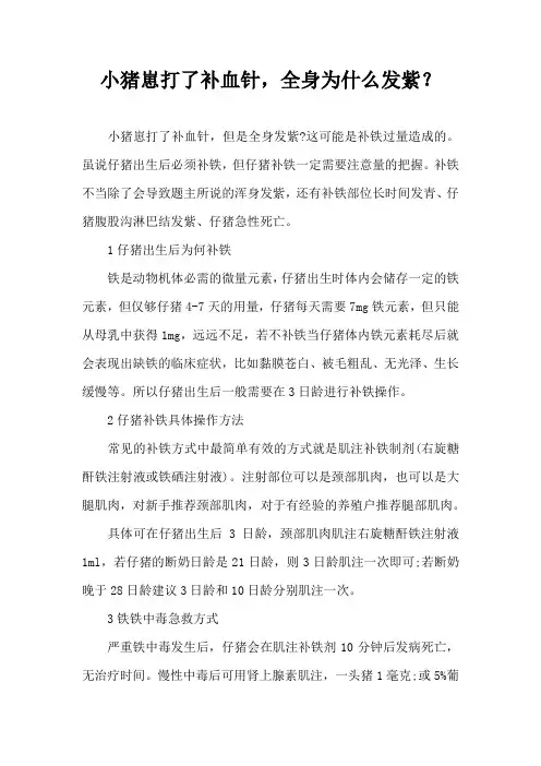 小猪崽打了补血针，全身为什么发紫？