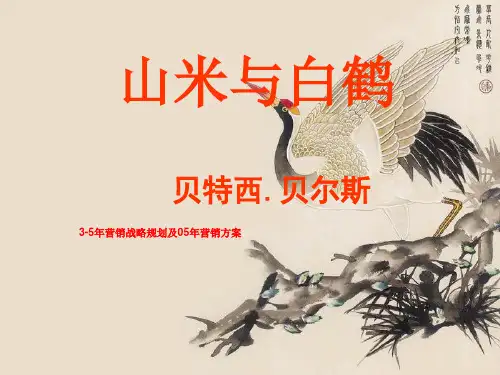 3-5年营销战略规划及05年营销方案