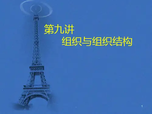 九组织及组织结构PPT课件