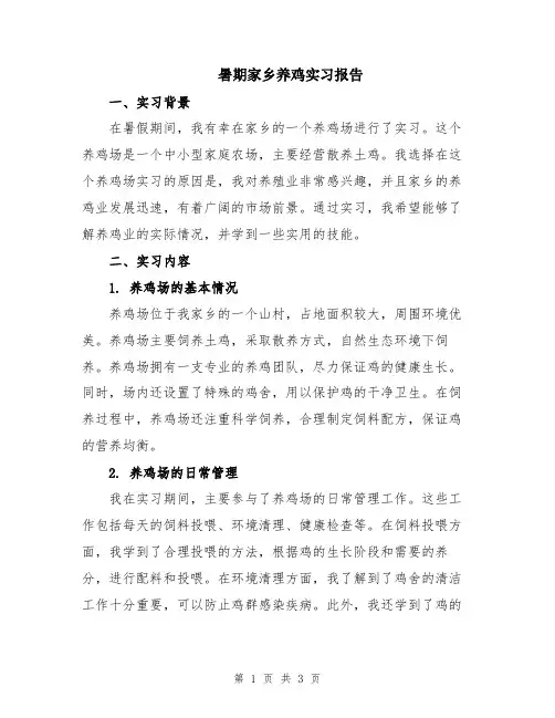 暑期家乡养鸡实习报告
