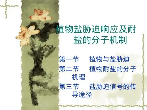 植物耐盐的分子机理-生物探索