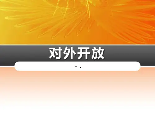《对外开放》PPT课件
