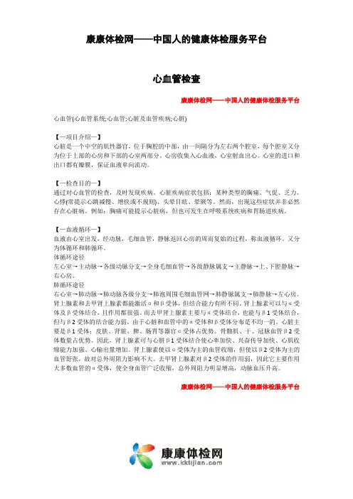 体检项目之心血管检查