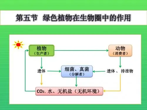 第二单元 1-5 绿色植物在生物圈中的作用