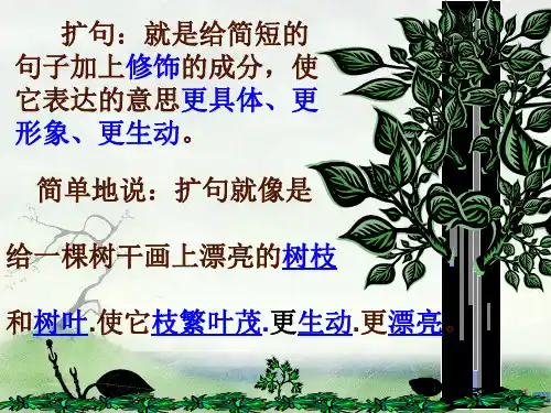 缩句扩句复习课件ppt
