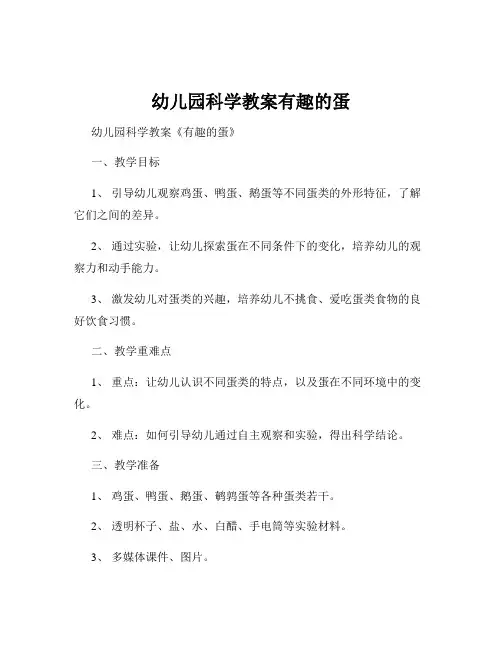 幼儿园科学教案有趣的蛋