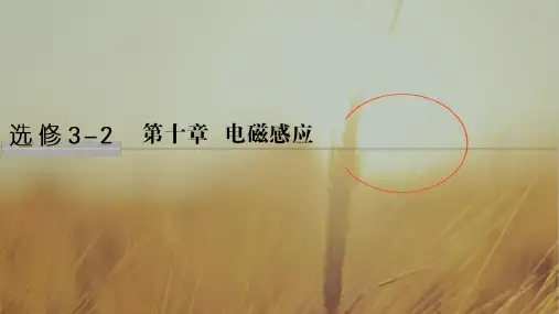 2019版高考物理江苏专用大一轮复习课件：第十章 电磁感应 基础课1 精品