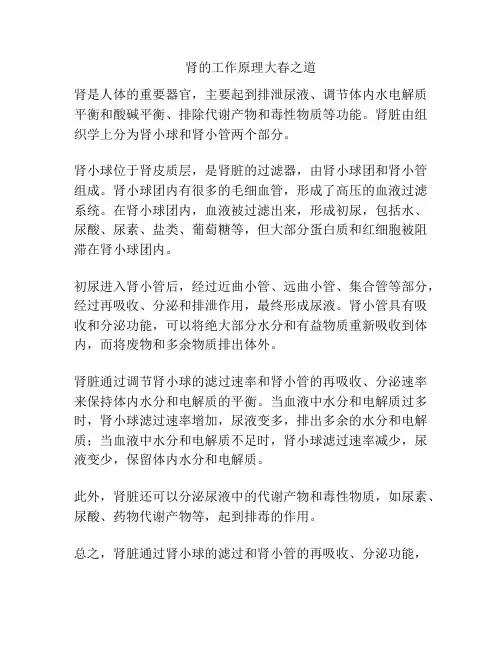 肾的工作原理大春之道