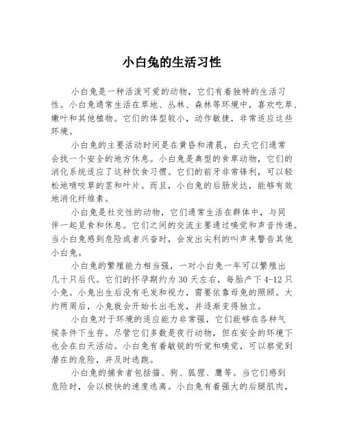 小白兔的生活习性