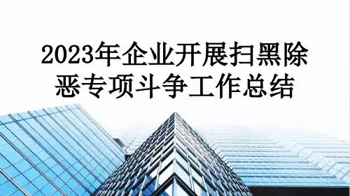 2023年企业开展扫黑除恶专项斗争工作总结