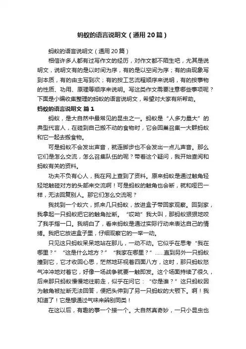 蚂蚁的语言说明文（通用20篇）