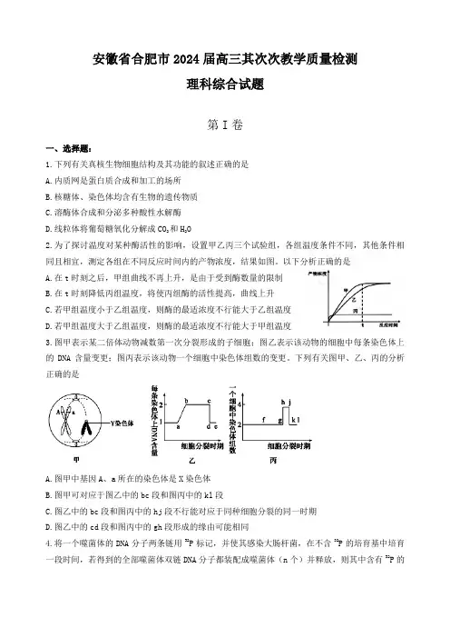 安徽省合肥市2024年高三第二次教学质量检测理综