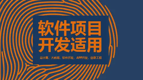 手机APP项目推广精美PPT模板 (13)