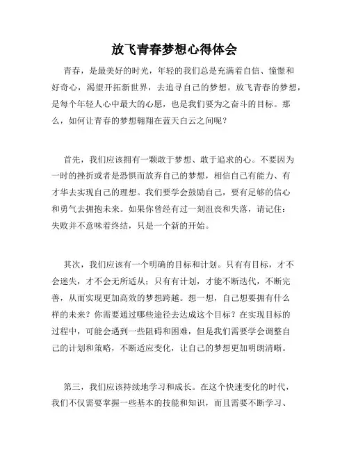放飞青春梦想心得体会