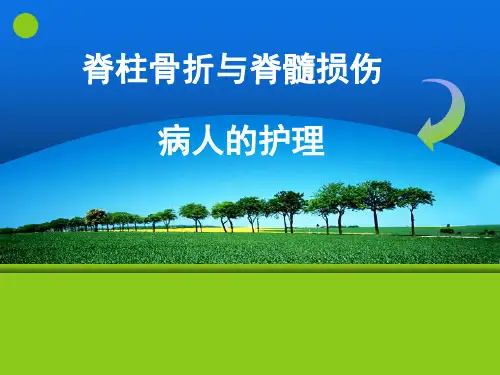 脊柱骨折与脊髓损伤病人的护理ppt课件