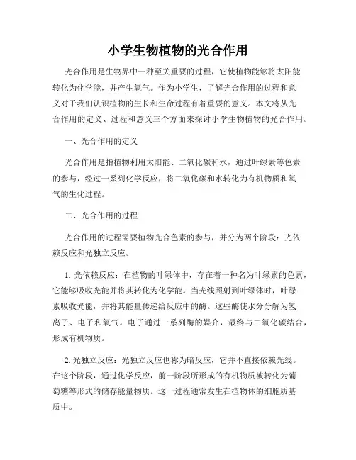 小学生物植物的光合作用