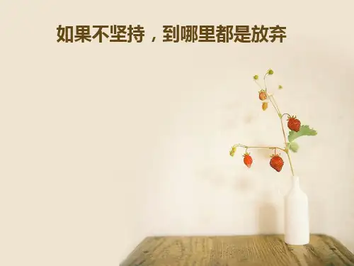 关于坚持励志的演讲PPT课件
