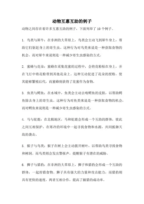 动物互惠互助的例子