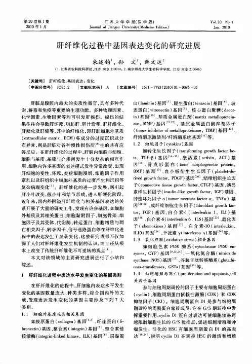 肝纤维化过程中基因表达变化的研究进展