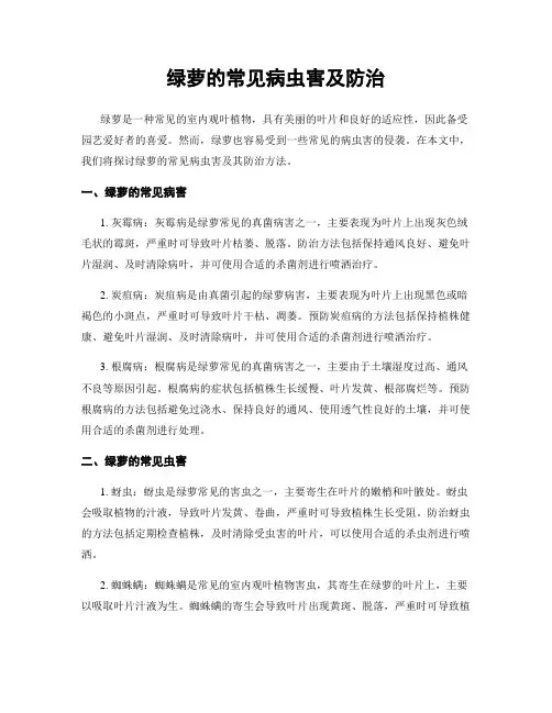 绿萝的常见病虫害及防治