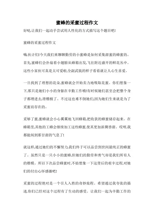 蜜蜂的采蜜过程作文
