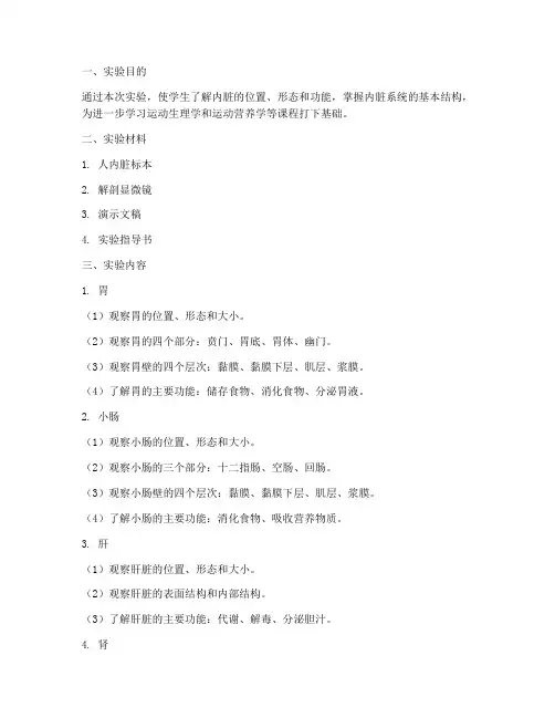 运动解剖实验报告内脏
